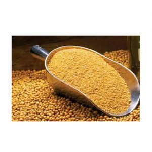 soybean meal