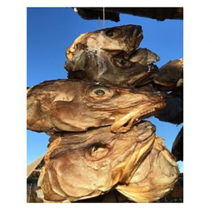 dried stock fish